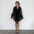 Black Sheer Trench Coat Women 2025 New Long Sleeve Belted Loose Fit Sheer Blouse Casual Streetwear Autumn Sheer Outerwear Dress
