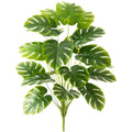 Dlight Decor Monstera Palm Plant for Home and Outdoor Styling
