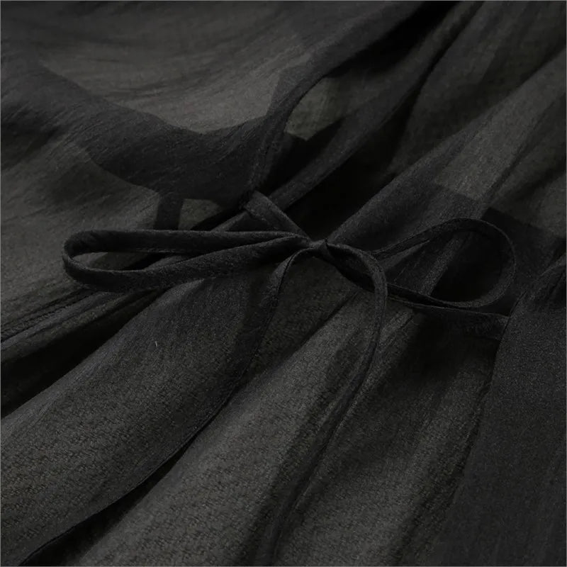 Black Sheer Trench Coat Women 2025 New Long Sleeve Belted Loose Fit Sheer Blouse Casual Streetwear Autumn Sheer Outerwear Dress